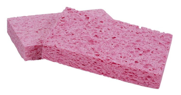 Sponges