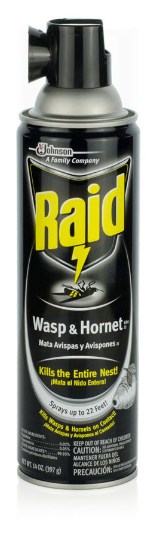 Raid Wasp & Hornet Killer
