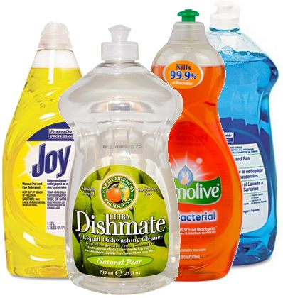 Hand Dish Washing