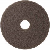 19" Champagne Luster Burnish Pads