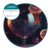 Oxyfresh Active Air Freshener Refill - Currant Scent