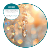 Oxyfresh Active Air Freshener Refill - Essence Scent