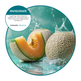 Oxyfresh Active Air Freshener Refill - Invigorate Scent