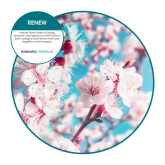 Oxyfresh Active Air Freshener Refill - Renew Scent