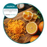 Oxyfresh Active Air Freshener Refill - Valencia Scent