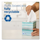 Puffs Ultra Soft White 2-Ply Facial Tissue - 124 Sheets/Box, 6 Boxes/Pack, 4 Packs/Case