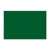 2" x 4" Green Blank Rectangle Inventory Labels