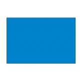2" x 4" Light Blue Blank Rectangle Inventory Labels