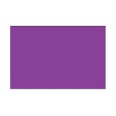 2" x 4" Purple Blank Rectangle Inventory Labels
