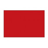 2" x 4" Red Blank Rectangle Inventory Labels