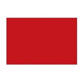 2" x 4" Red Blank Rectangle Inventory Labels