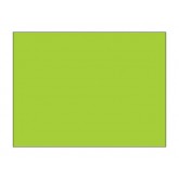 3" x 4" Fluorescent Green Blank Rectangle Inventory Labels