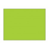 3" x 4" Fluorescent Green Blank Rectangle Inventory Labels