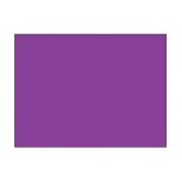 3" x 4" Purple Blank Rectangle Inventory Labels