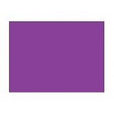 3" x 4" Purple Blank Rectangle Inventory Labels