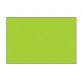 3" x 10" Fluorescent Green Blank Rectangle Inventory Labels