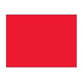 4" x 4" Fluorescent Red Blank Rectangle Inventory Labels