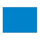 4" x 4" Light Blue Blank Rectangle Inventory Labels
