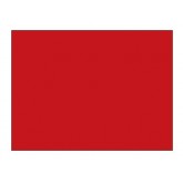 4" x 4" Red Blank Rectangle Inventory Labels