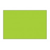 4" x 6" Fluorescent Green Blank Rectangle Inventory Labels