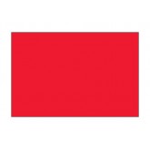 4" x 6" Fluorescent Red Blank Rectangle Inventory Labels