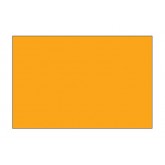 4" x 6" Fluorescent Orange Blank Rectangle Inventory Labels