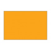 4" x 6" Fluorescent Orange Blank Rectangle Inventory Labels