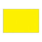 4" x 6" Fluorescent Yellow Blank Rectangle Inventory Labels