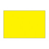4" x 6" Fluorescent Yellow Blank Rectangle Inventory Labels