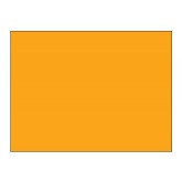 5" x 7" Fluorescent Orange Blank Rectangle Inventory Labels