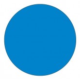 0.5" Circle Light Blue Blank Circle Inventory Labels