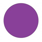 1.5" Circle Purple Blank Circle Inventory Labels