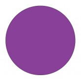 2" Circle Purple Blank Circle Inventory Labels