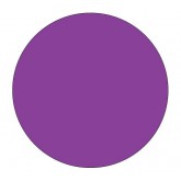 2" Circle Purple Blank Circle Inventory Labels