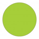 3" Circle Fluorescent Green Blank Circle Inventory Labels