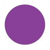 3" Circle Purple Blank Circle Inventory Labels