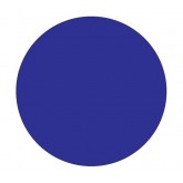 4" Circle Dark Blue Blank Circle Inventory Labels