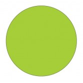 4" Circle Fluorescent Green Blank Circle Inventory Labels