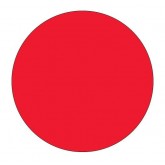 4" Circle Fluorescent Red Blank Circle Inventory Labels