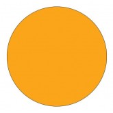 4" Circle Fluorescent Orange Blank Circle Inventory Labels