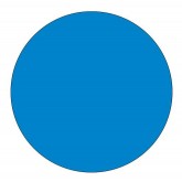 4" Circle Light Blue Blank Circle Inventory Labels