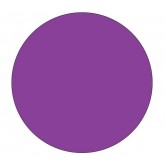 4" Circle Purple Blank Circle Inventory Labels