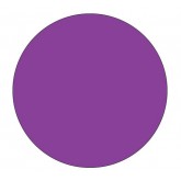 4" Circle Purple Blank Circle Inventory Labels