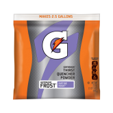 Gatorade Powdered Riptide Rush Thirst Quencher - 21oz packets, 32 per case