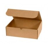 12.125" x 9.25" x 4" Kraft Literature Mailer 32ect