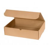 15.125" x 11.125" x 4" Kraft Literature Mailer 32ect