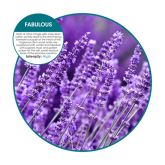 PowerFRESH Stingray Vertical Urinal Screen 60-day Low Splash Fabulous Fragrance 6ct