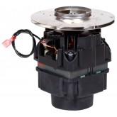 ProTeam Motor Assembly