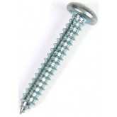 ProTeam Screw, Type AB #10 x 1"